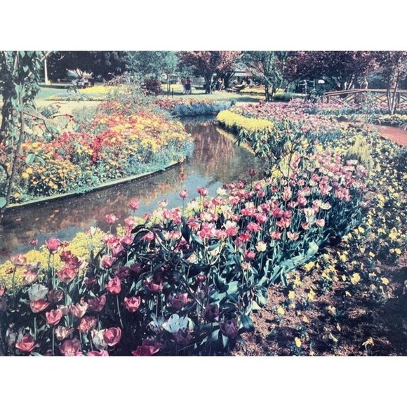 500-PIECE JIGSAW PUZZLE RARE BOWRAL GARDENS SCENE BEAUTIFUL TULIPS ~ NEW, SEALED - Picture 2 of 7
